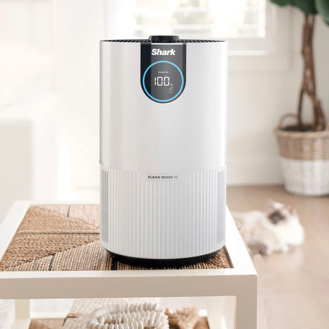 Clean Sense Air Purifier with Odor Neutralizer Technology-White