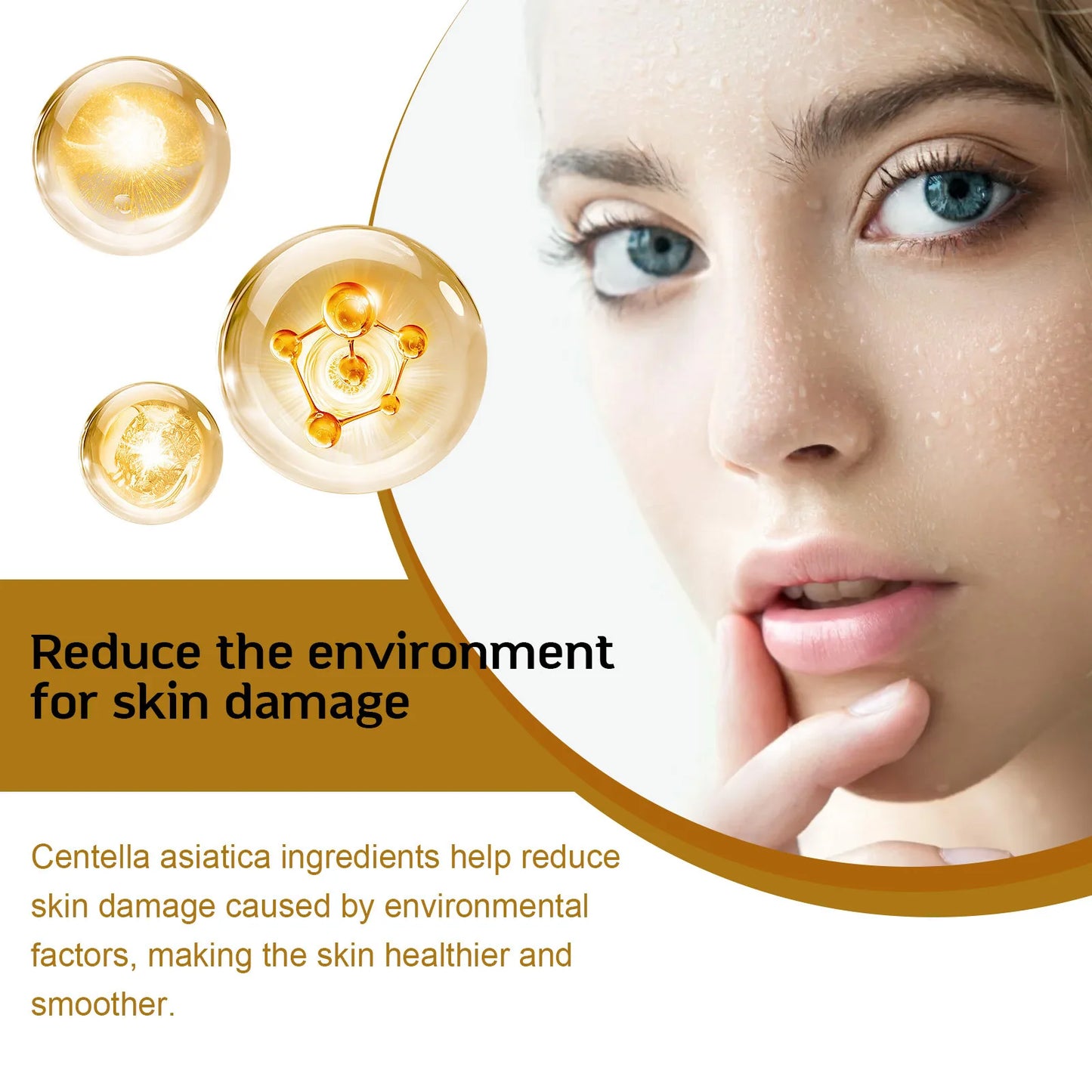 EELHOE Centella Moisturizing Facial Serum
